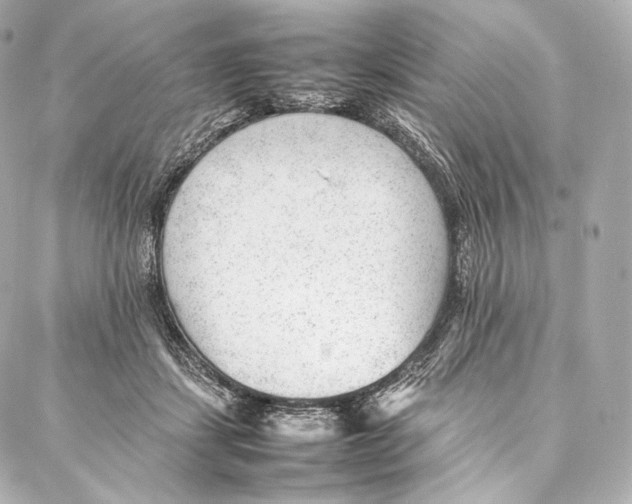 X0000086970459200705141655