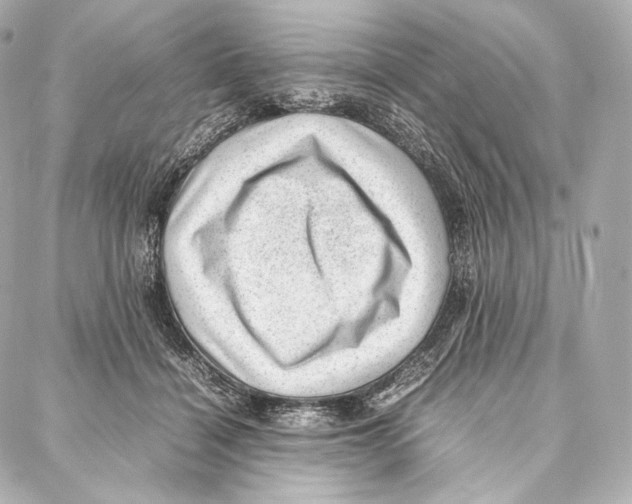 X0000086970460200705141655