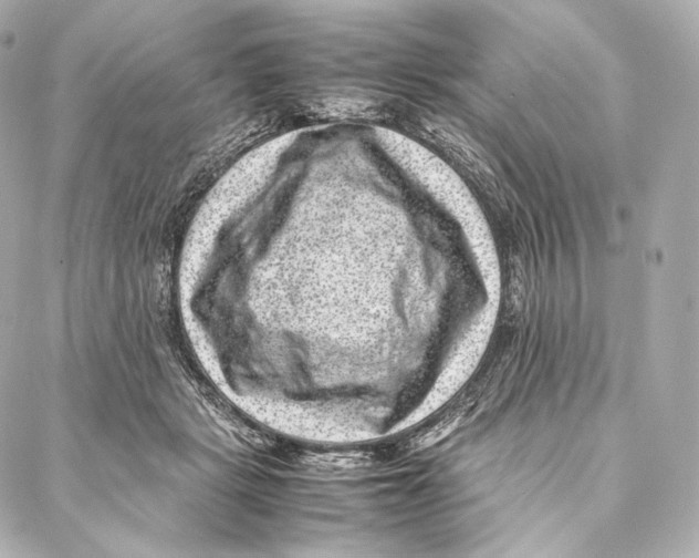 X0000086970461200705141655