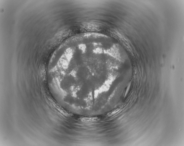 X0000086970465200705141655