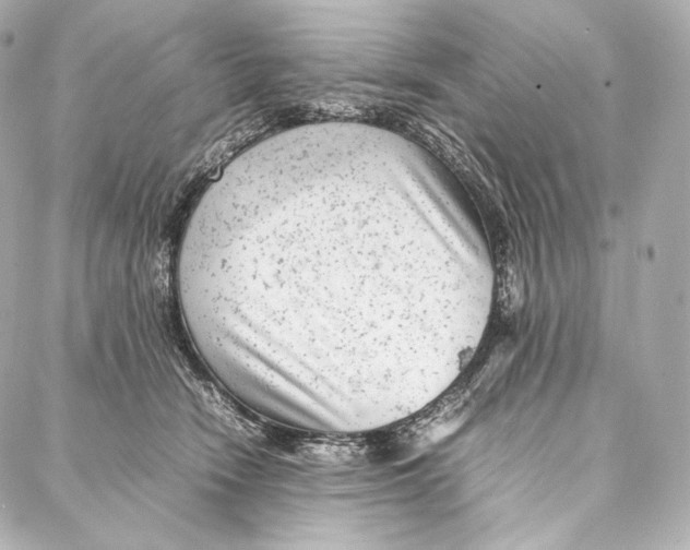 X0000086970466200705141655