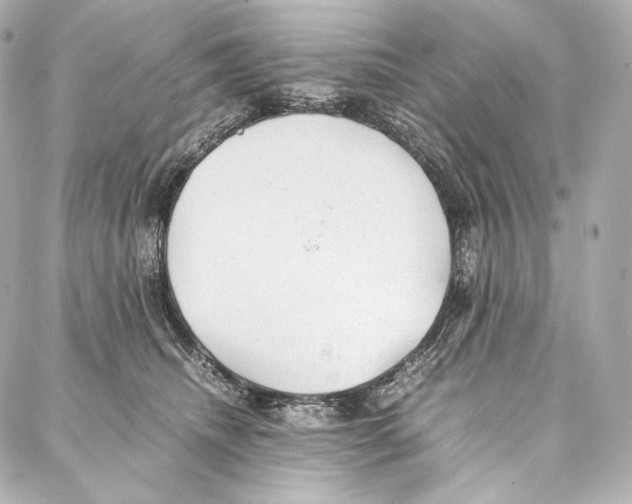 X0000086970468200705141655