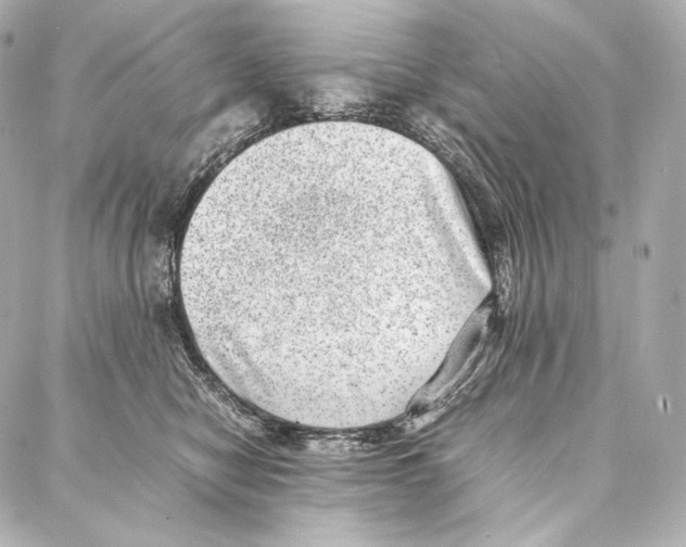 X0000086970470200705141655