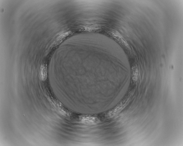 X0000086970471200705141655