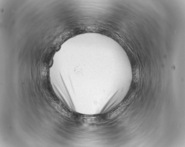 X0000086970472200705141655