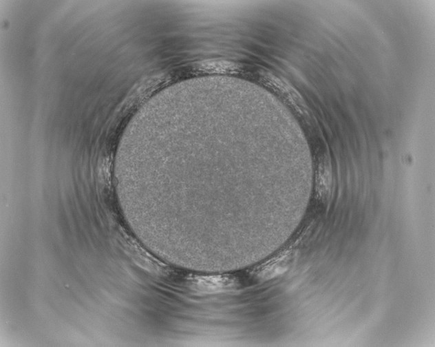 X0000086970473200705141655