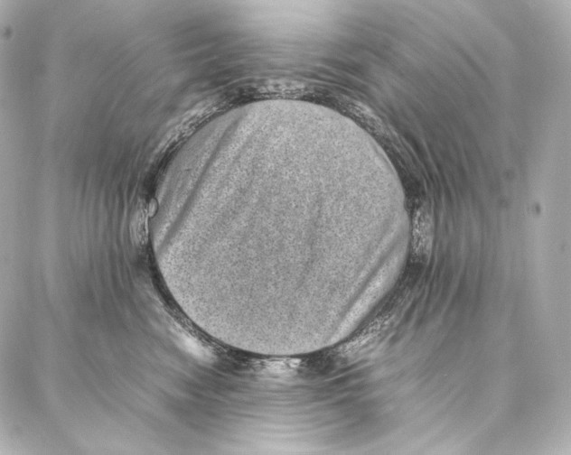 X0000086970474200705141655