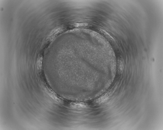 X0000086970475200705141655