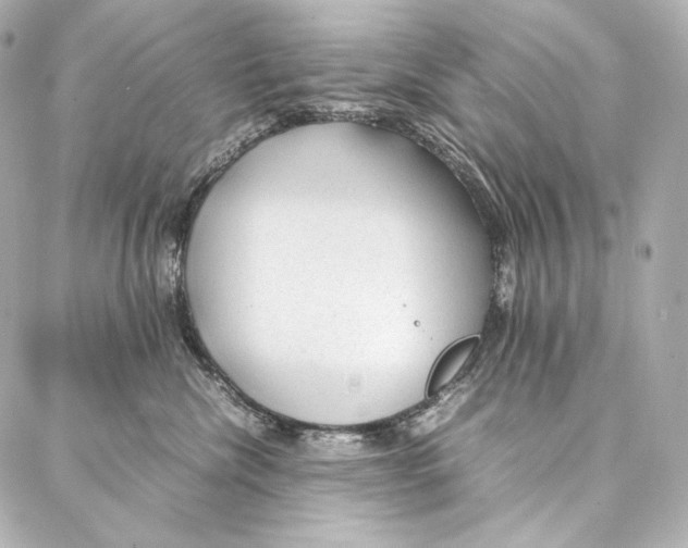 X0000086970476200705141655