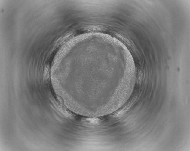 X0000086970478200705141655