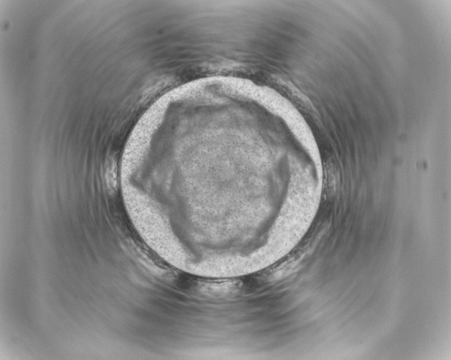 X0000086970479200705141655