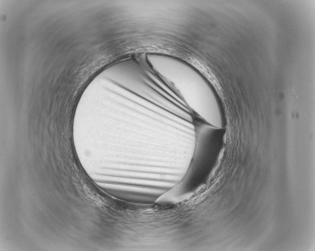 X0000086970481200705141655