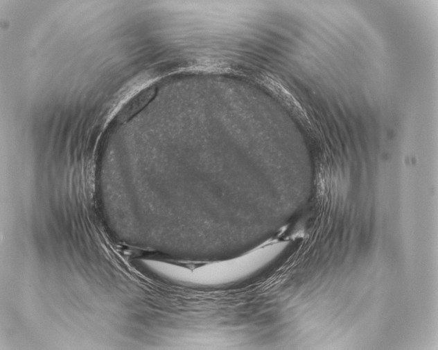 X0000086970484200705141654