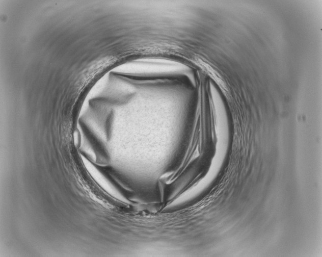 X0000086970485200705141654