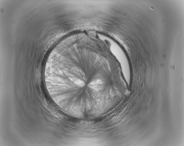 X0000086970487200705141654