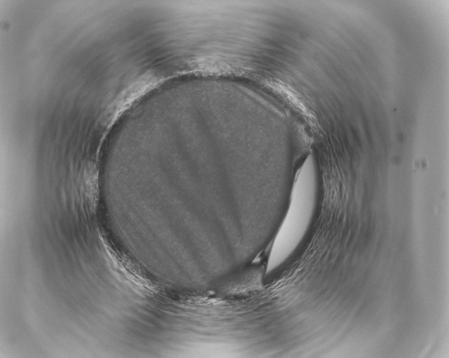 X0000086970488200705141654