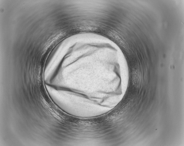 X0000086970490200705141654