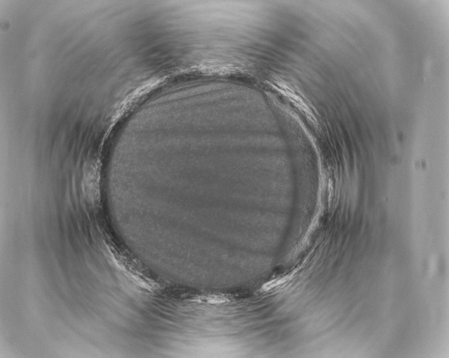 X0000086970492200705141654