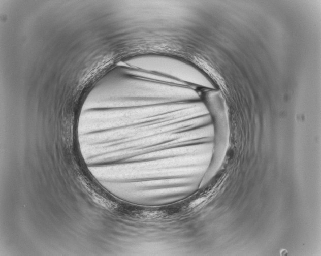 X0000086970493200705141654