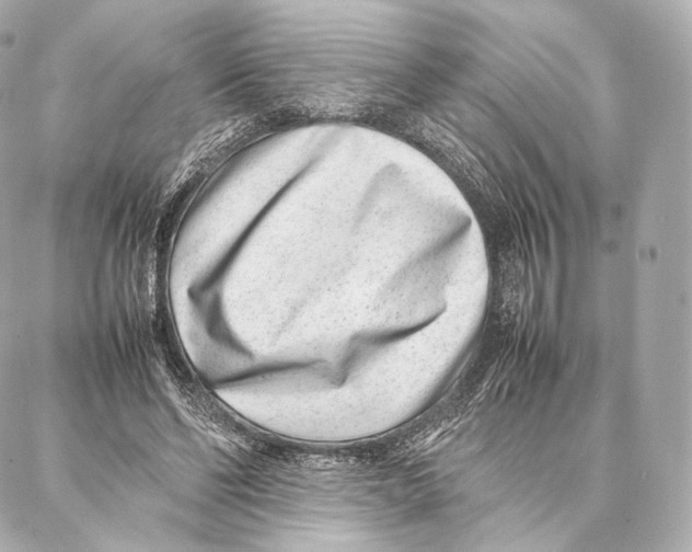 X0000086970494200705141654