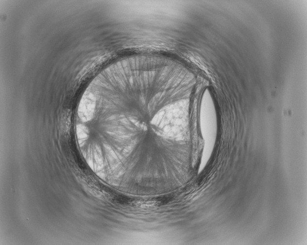 X0000086970495200705141654