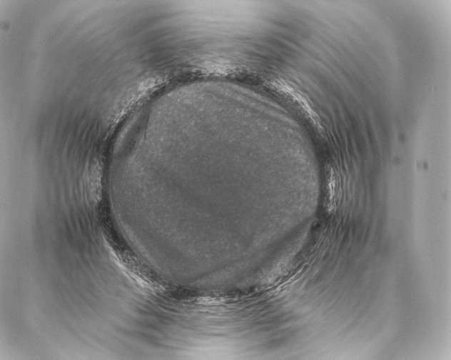 X0000086970496200705141654