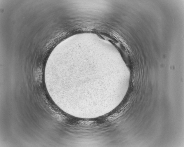 X0000086970497200705141654