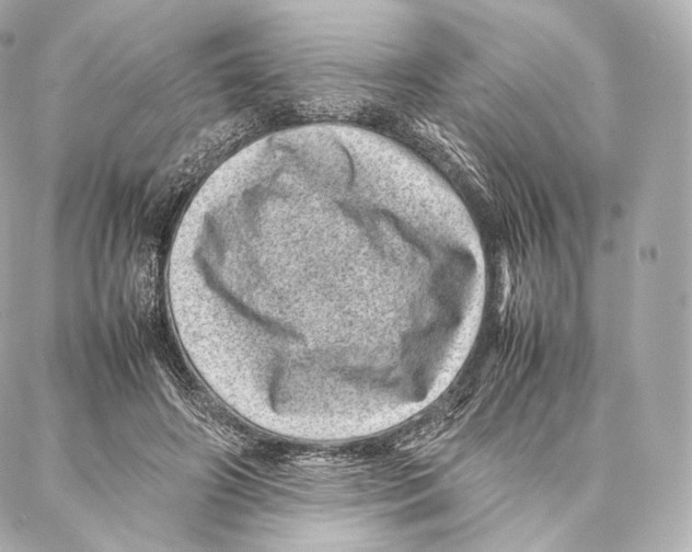 X0000086970498200705141654