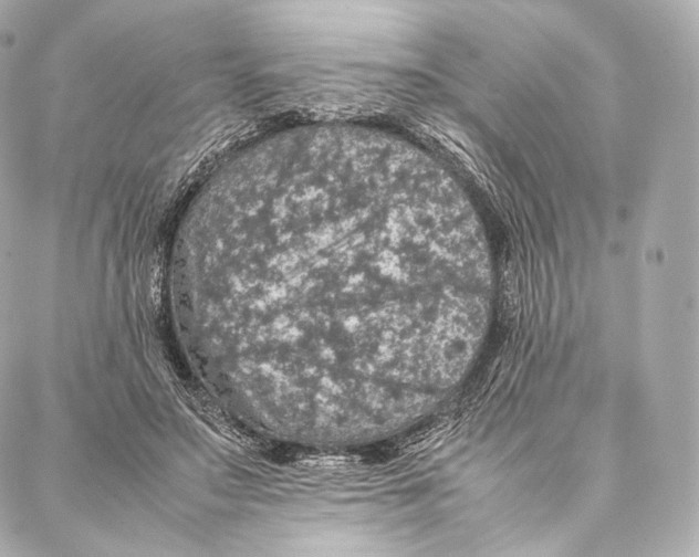 X0000086970499200705141654