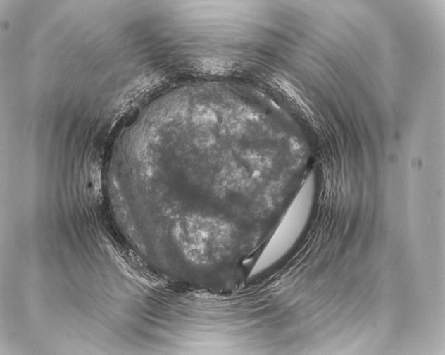 X0000086970500200705141654