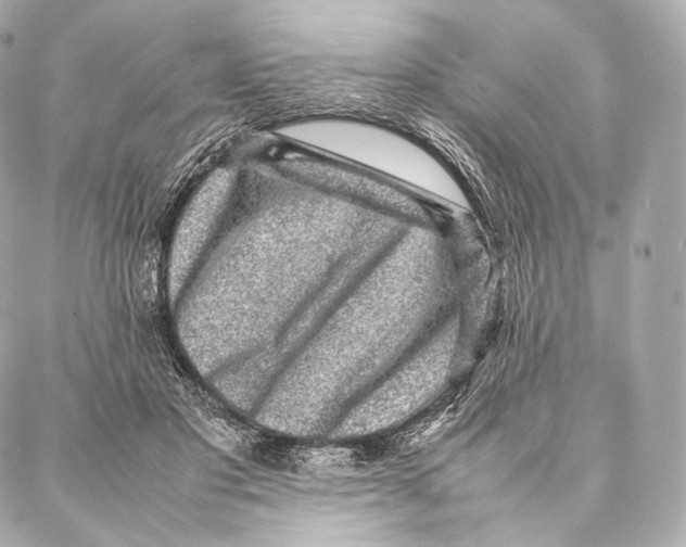 X0000086970501200705141654