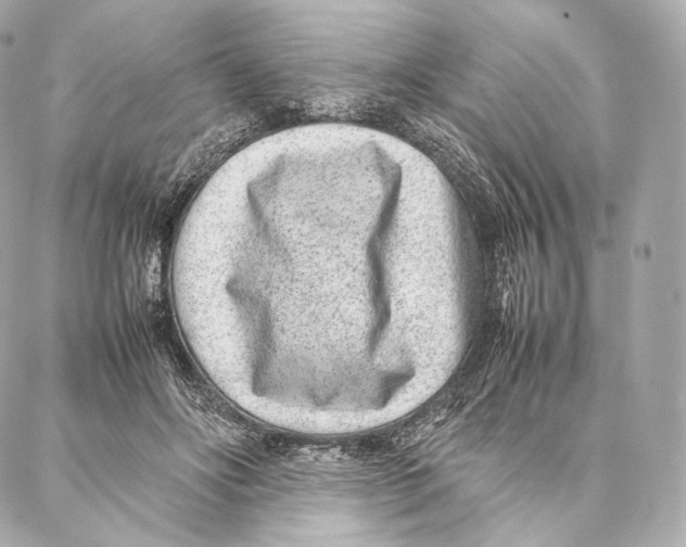 X0000086970502200705141654