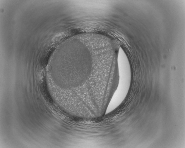 X0000086970503200705141654