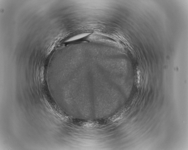 X0000086970504200705141654