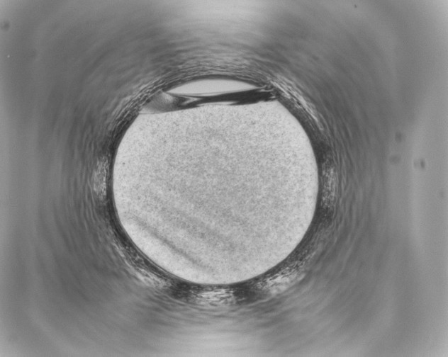 X0000086970505200705141654