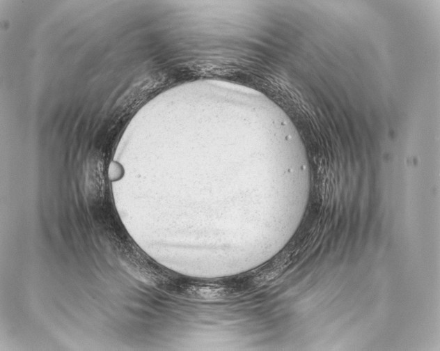 X0000086970506200705141654