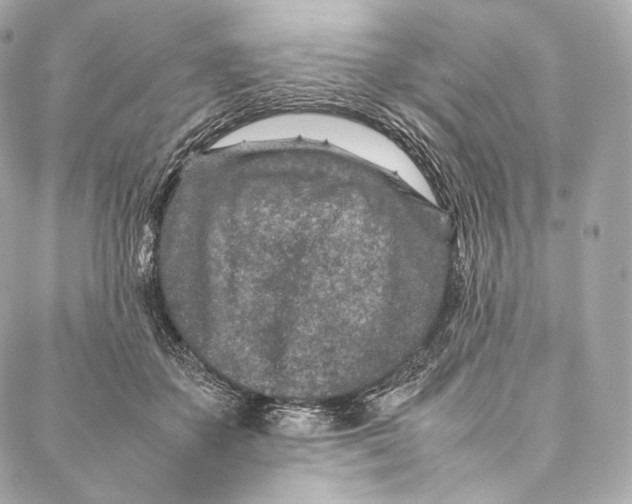 X0000086970507200705141654