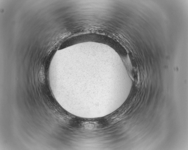 X0000086970508200705141654