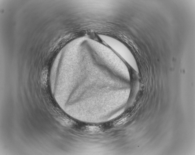 X0000086970509200705141654