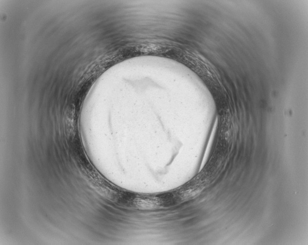 X0000086970510200705141654