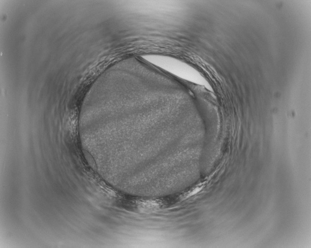 X0000086970513200705141654