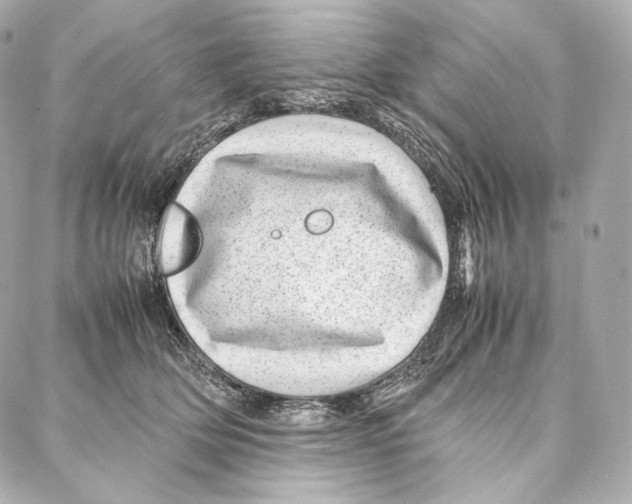 X0000086970514200705141654