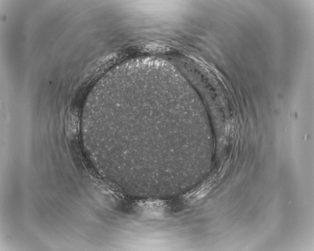 X0000086970517200705141654