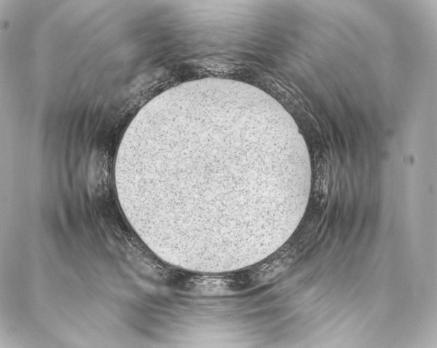 X0000086970518200705141654