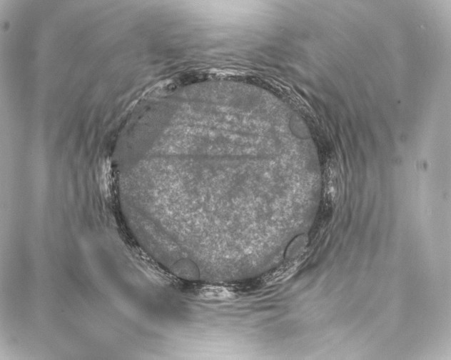 X0000086970519200705141654