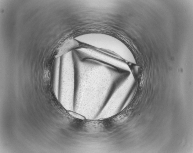 X0000086970521200705141654