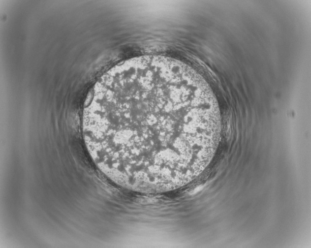 X0000086970523200705141654