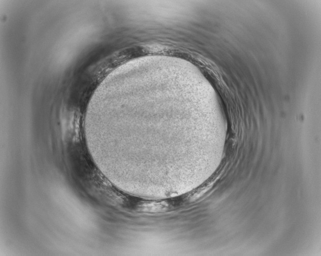 X0000086970525200705141654