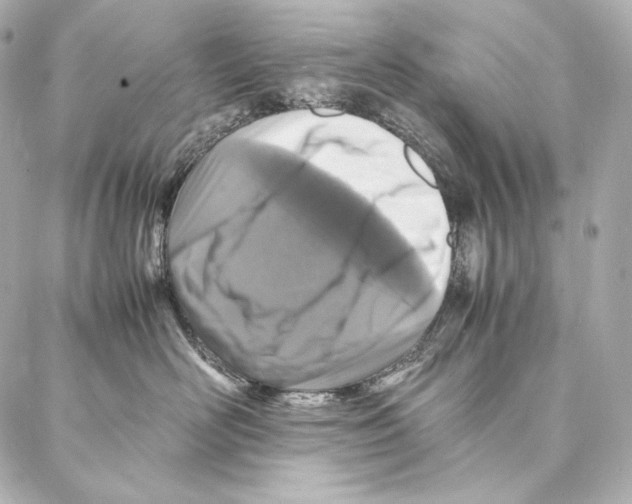 X0000086970526200705141654