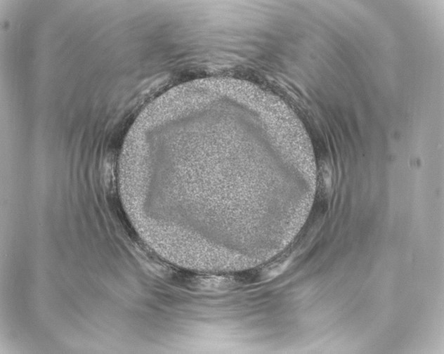 X0000086970527200705141654